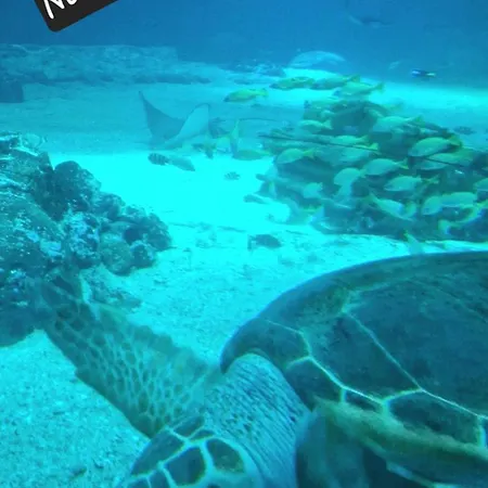 Proche Nausicaa, Gare & Remparts, Spacieuse Maison 3 Chambres, Cour Privee, Parking Gratuit & Adaptee Aux Velos * Boulogne-sur-Mer