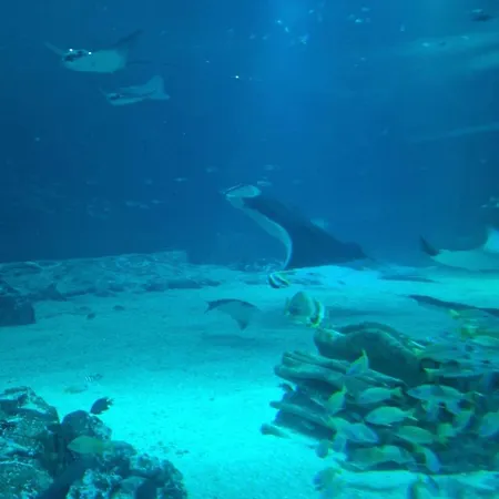 Prázdninový dům Proche Nausicaa, Gare & Remparts, Spacieuse Maison 3 Chambres, Cour Privee, Parking Gratuit & Adaptee Aux Velos Boulogne-sur-Mer